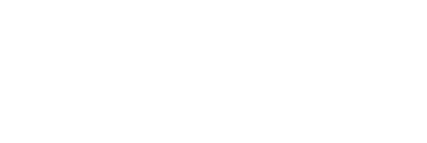 exaloan logo in footer section